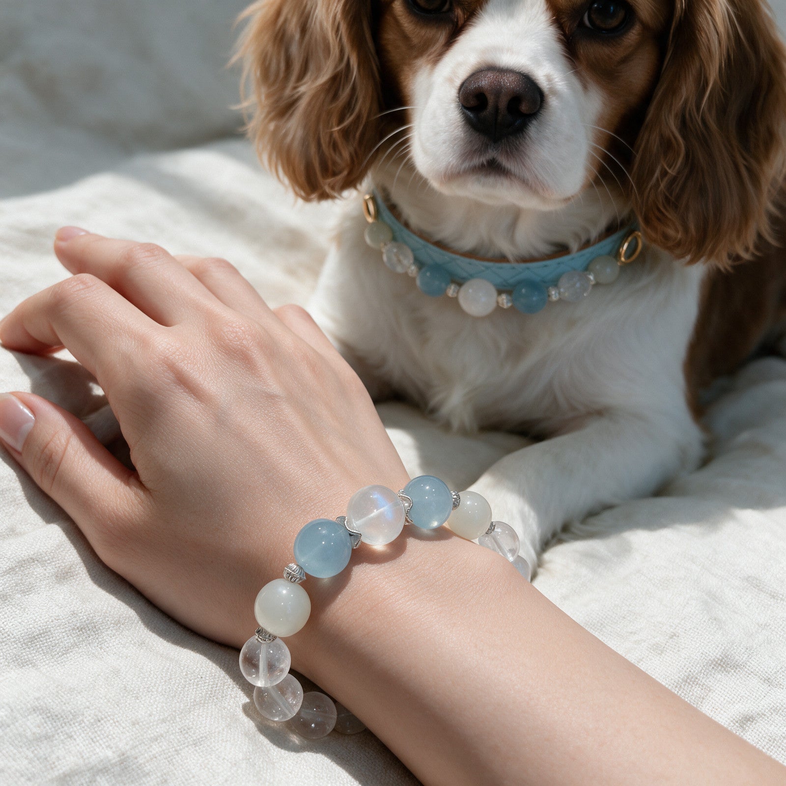 Coordinated bracelet styling beside the Blue Moon Heirloom pet collar