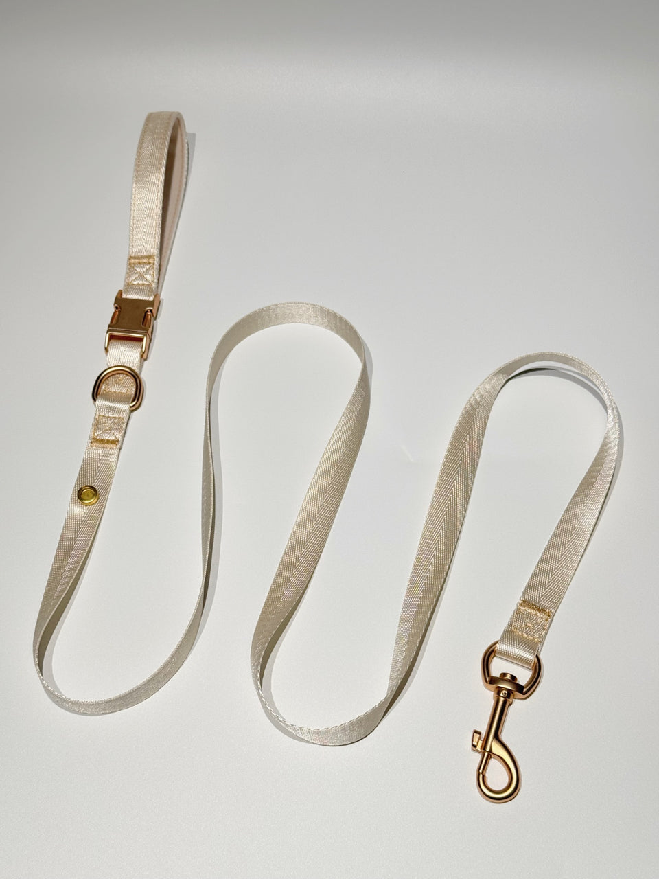 Coordinating Collar Leash — complete product view